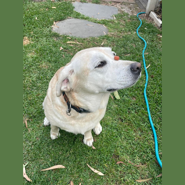 Photo of Sally