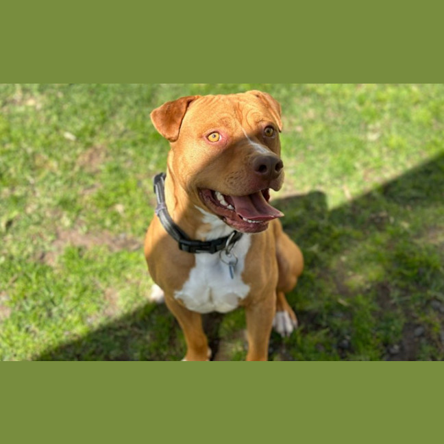 Photo of Duke