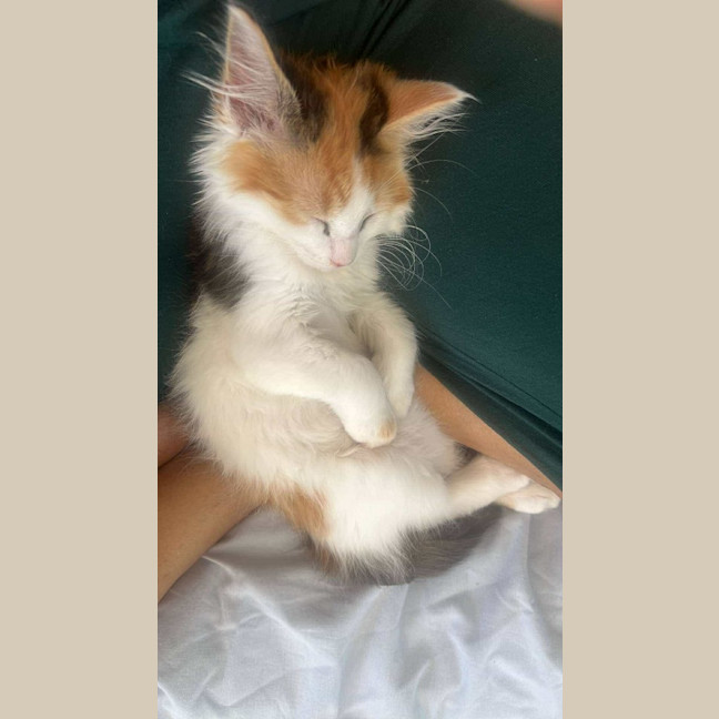 Photo of Betty