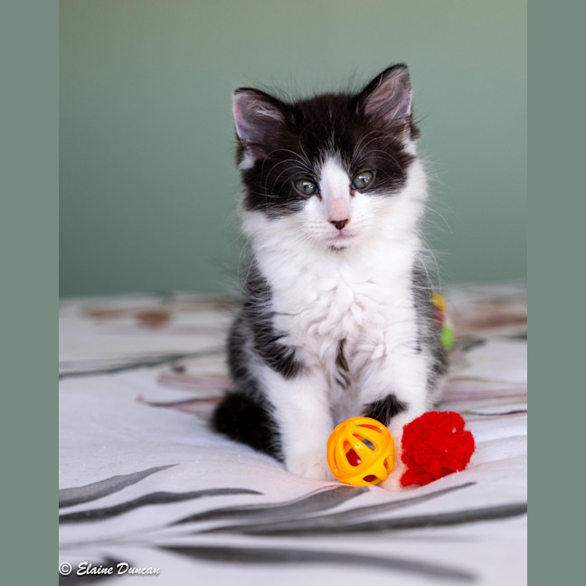 Photo of Maggie
