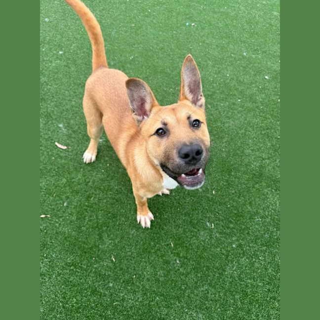 Photo of Ernie Imp 2020