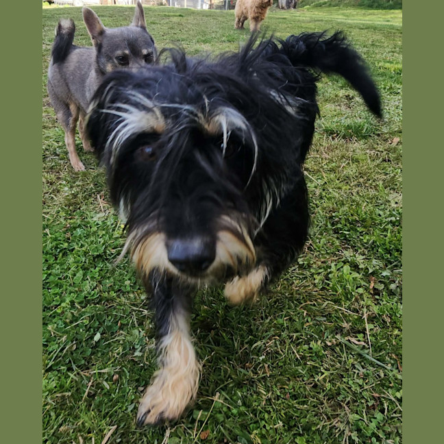 Photo of Tex