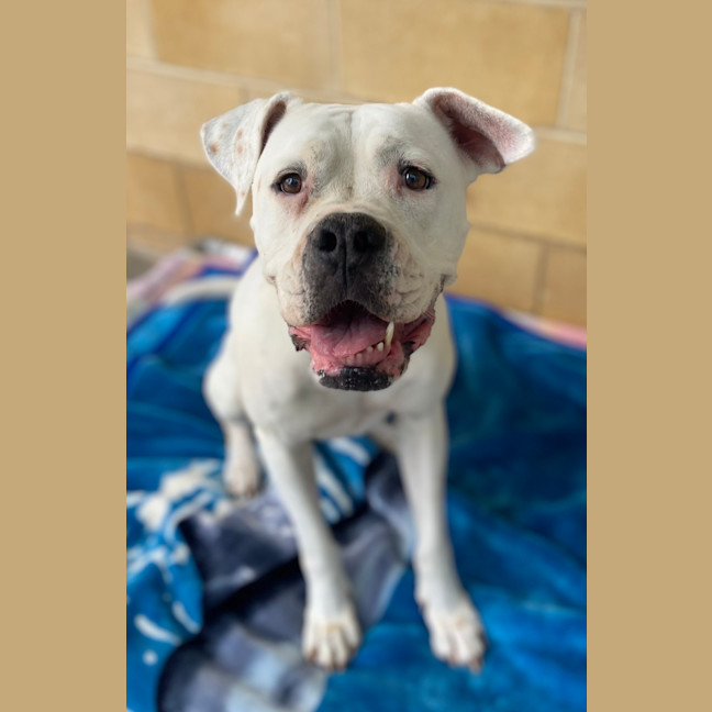 Photo of Roxy