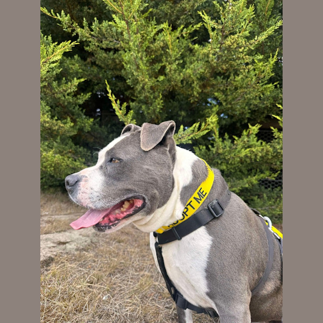 Photo of 🥊 Floyd 5607 🥊