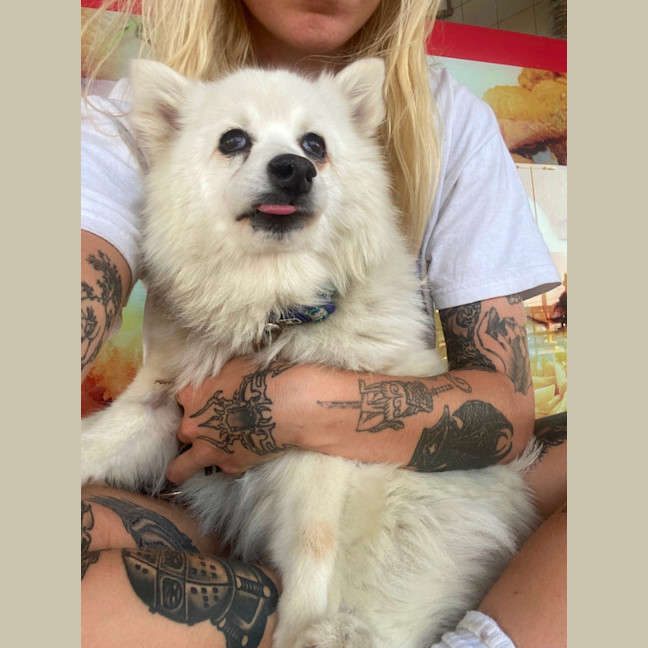 Photo of Fifi