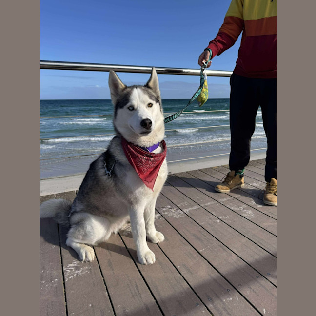 Photo of Karsha (Kay)