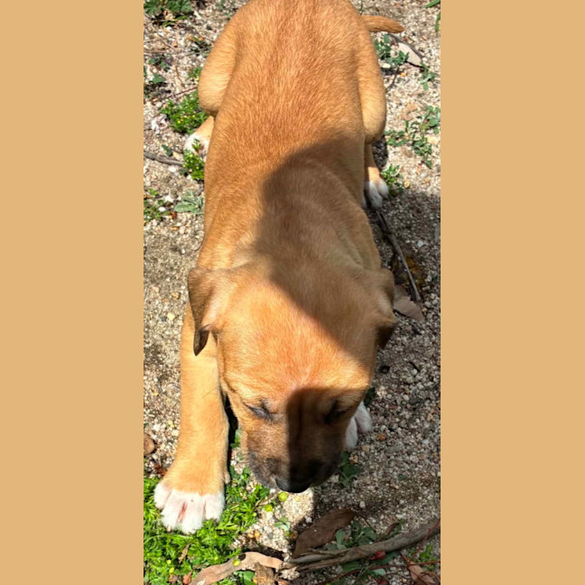 Photo of Truvy