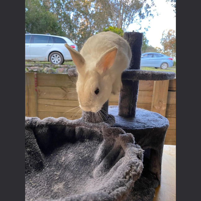 Photo of Fallon And Anders