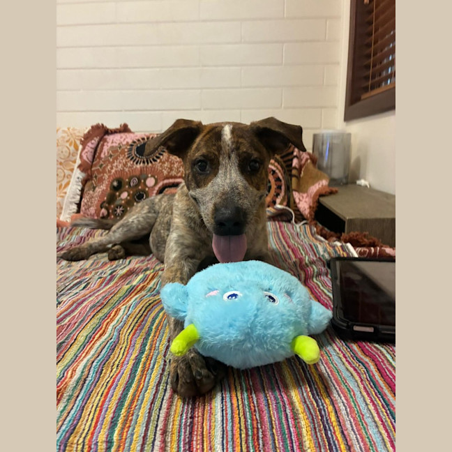 Photo of Puzzle