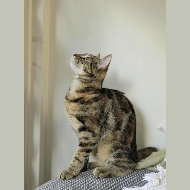 Photo of Milah