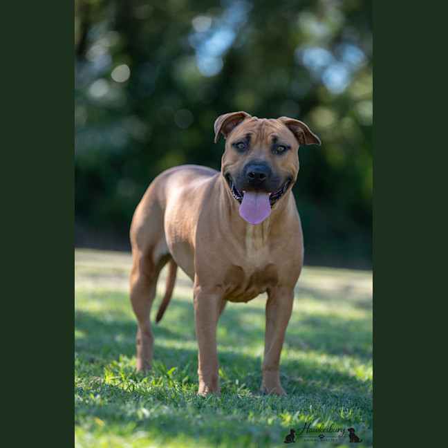 Photo of Shayla