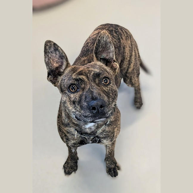 Photo of 🦋 Zuzu 6093 🦋