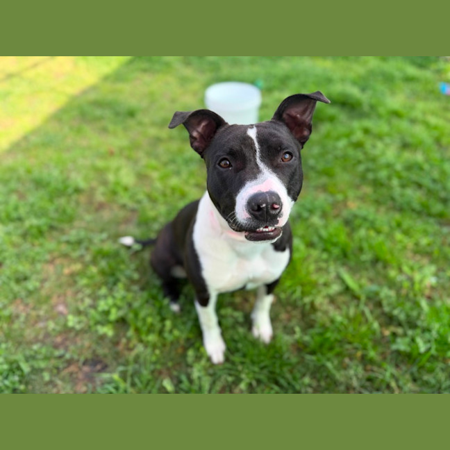 Photo of Molly Imp 1754