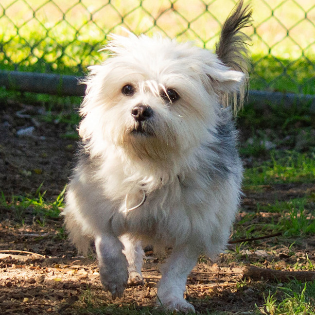 Photo of Rupert
