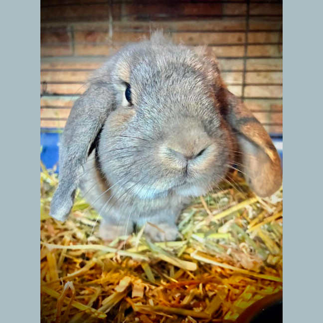 Photo of Denver And Heather