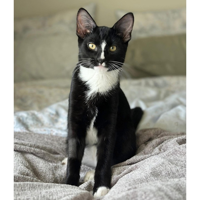 Photo of 12156   Sailor