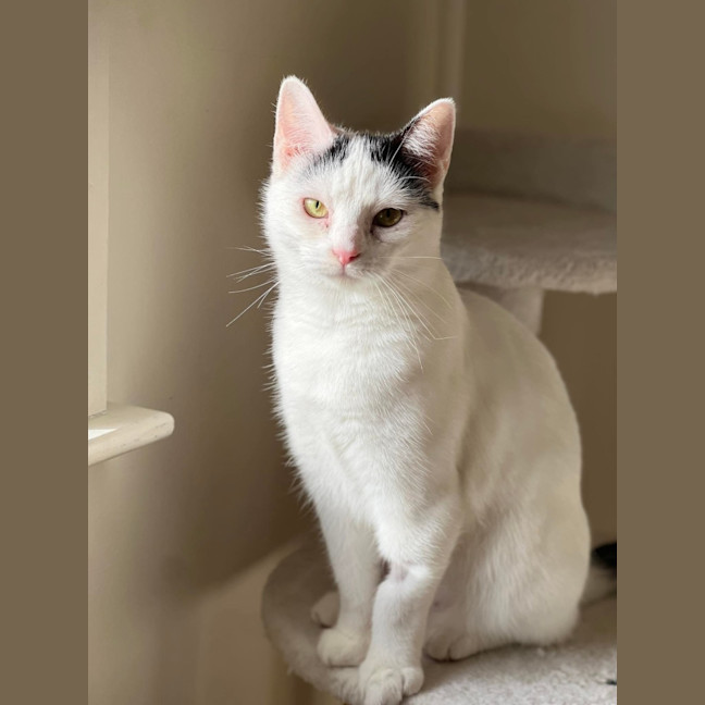 Photo of Lilly