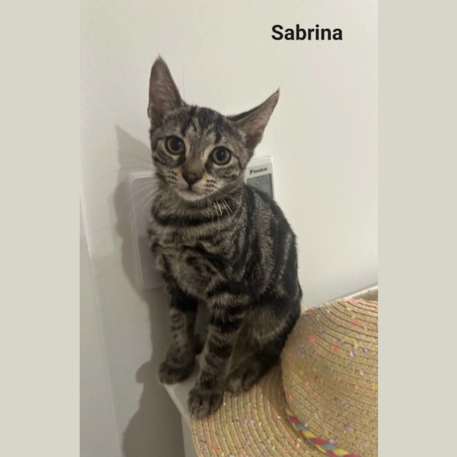 Photo of Sabrina