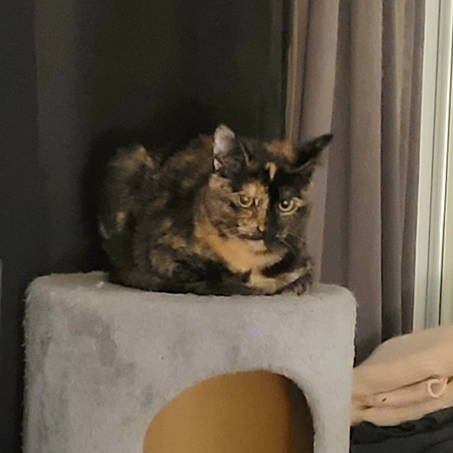 Photo of Mj Moo