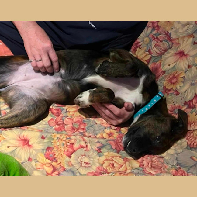 Photo of Georgie Girl