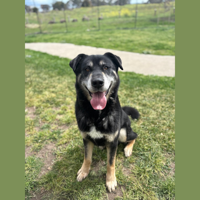 Photo of Zeus 