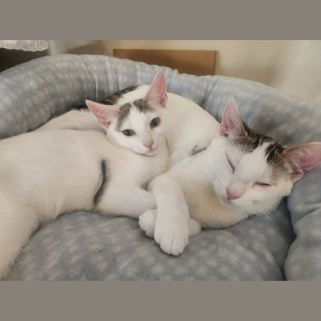 Photo of Verity & Solace