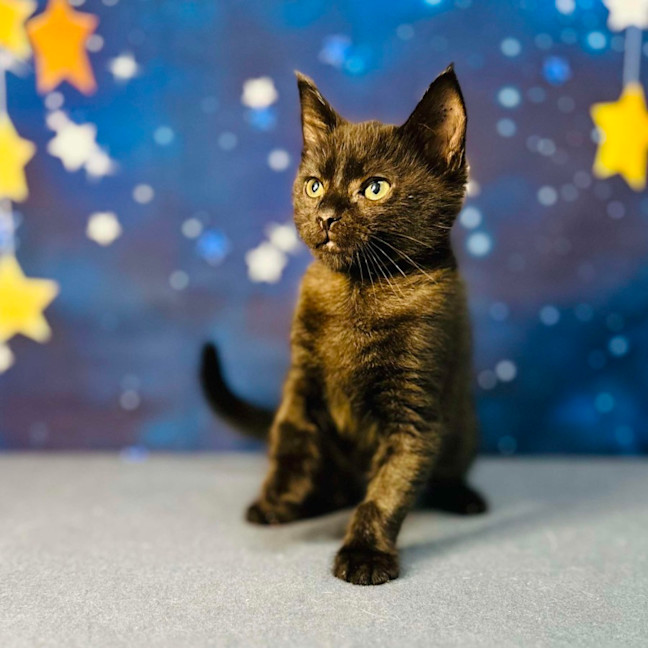 Photo of Barry   Located In Preston 