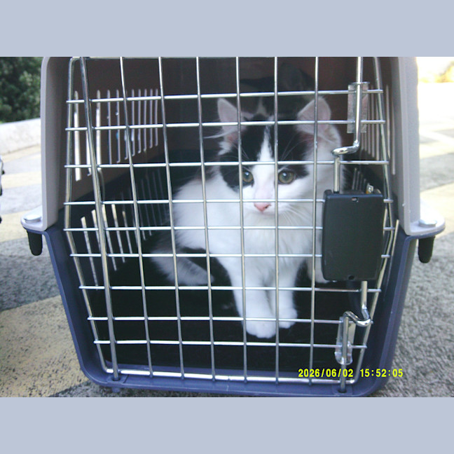 Photo of Munchkin Barclay
