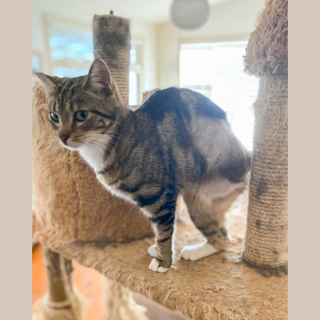 Photo of Kit Kat