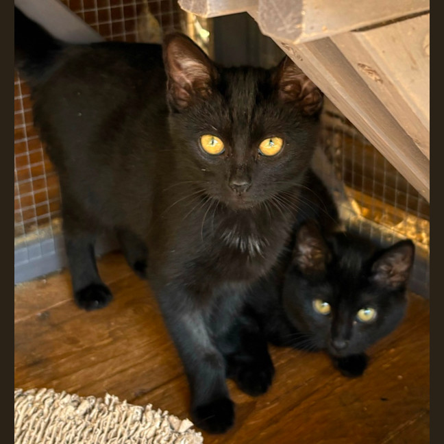 Photo of Marsha (And Alice)