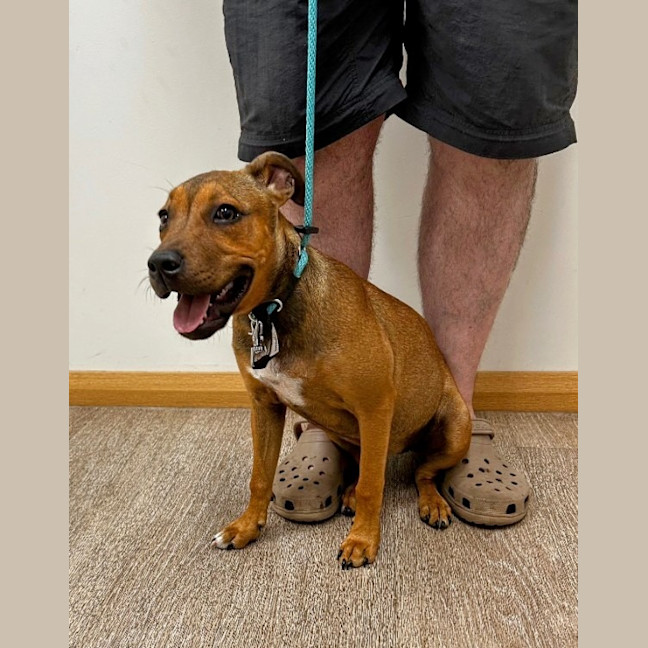 Photo of Lilly (Was Lolly)