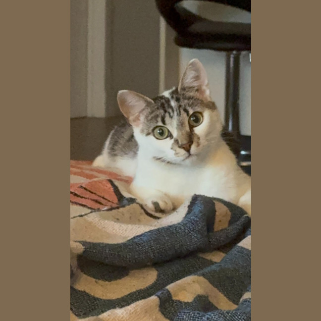 Photo of Nugget Scott