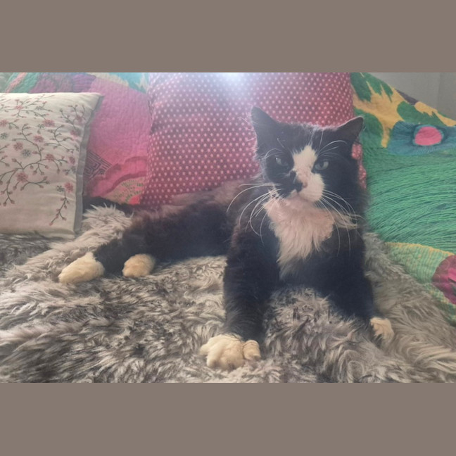 Photo of Cain (0004)