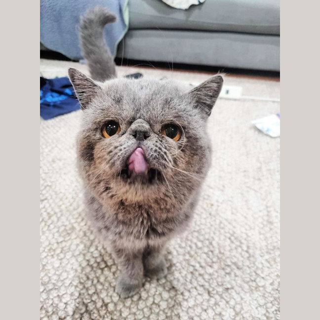 Photo of 🧣Kishmish🧣