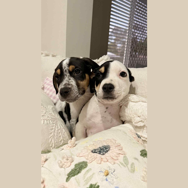 Photo of Theodore (P10)