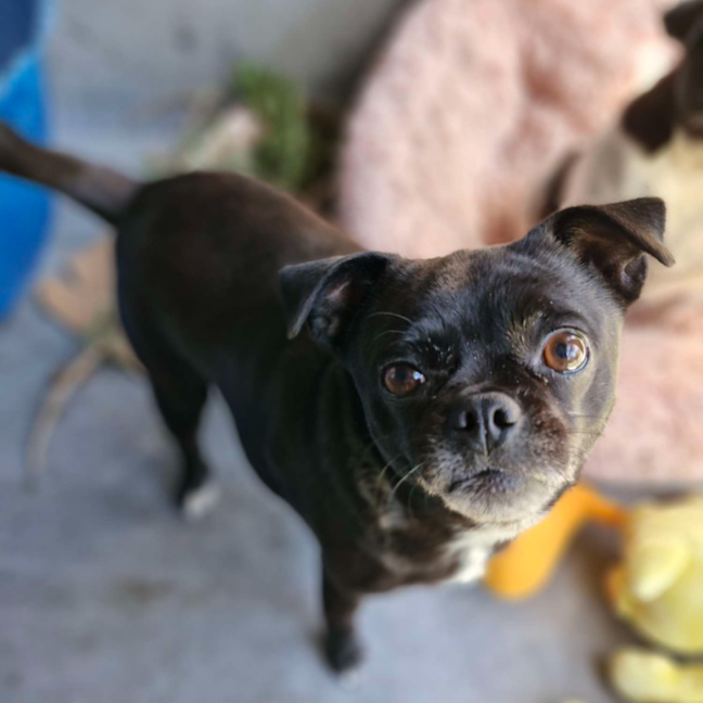 Photo of Butter