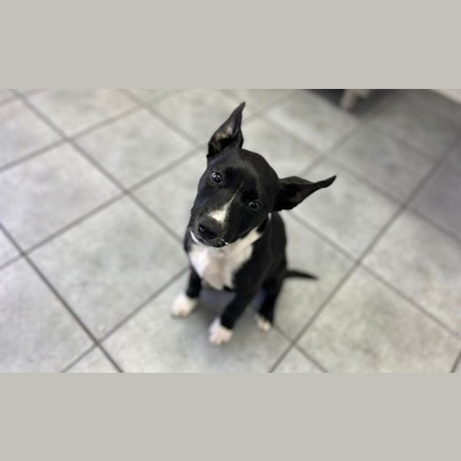 Photo of Maggie