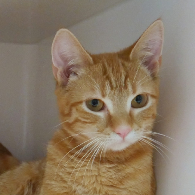 Photo of Hope Suk015170