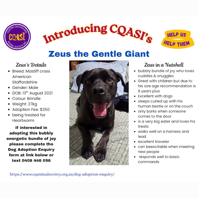 Photo of Zeus