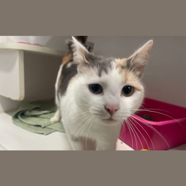 Photo of Mabel