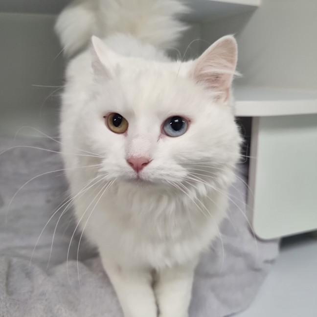 Photo of Kiki