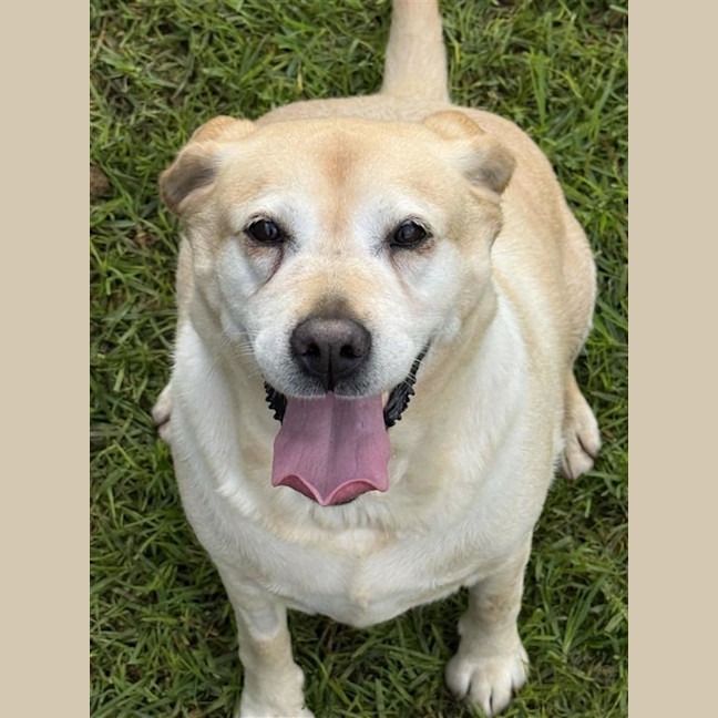 Photo of Narla