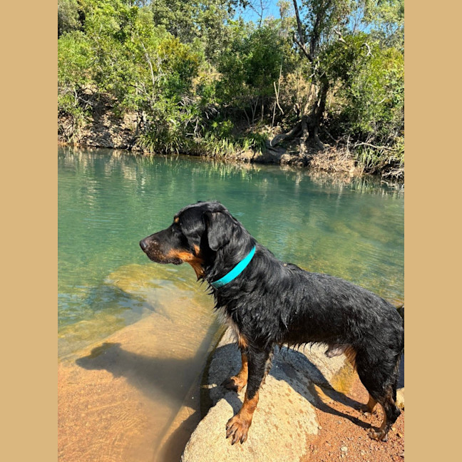 Photo of Bruce