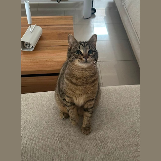 Photo of Peggy