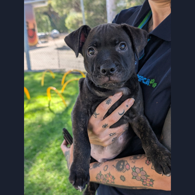 Photo of Zeus