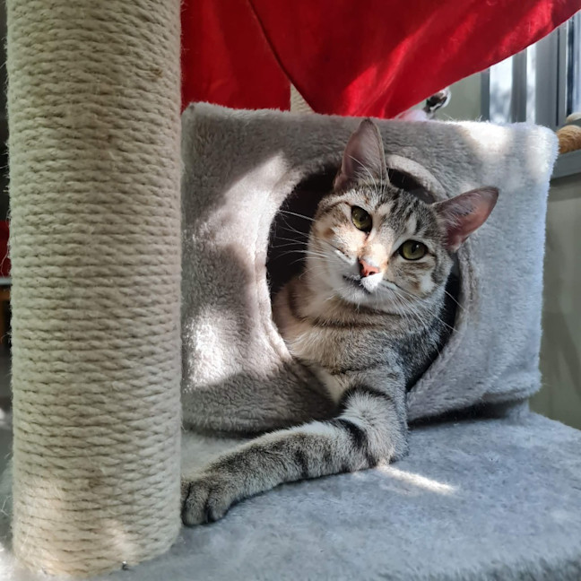 Photo of Nini