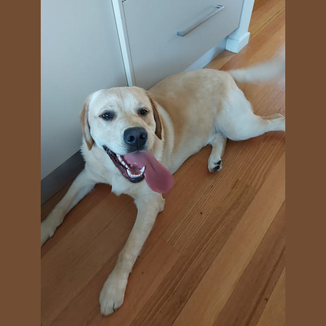 Photo of Jeffrey 'Good Boy' Jones