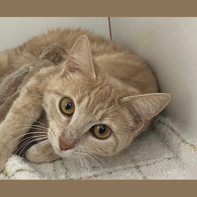 Photo of Sandy 