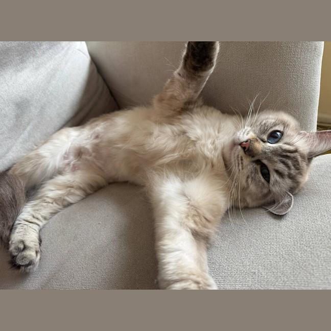 Photo of Mina