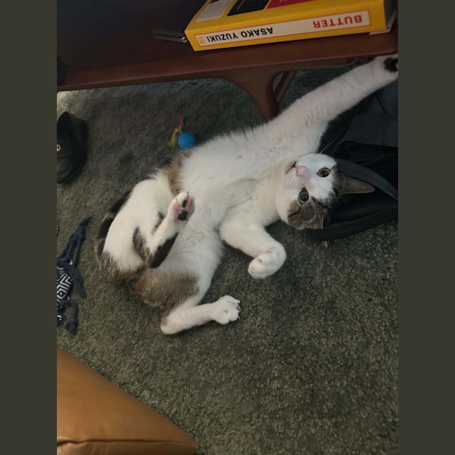 Photo of Duke